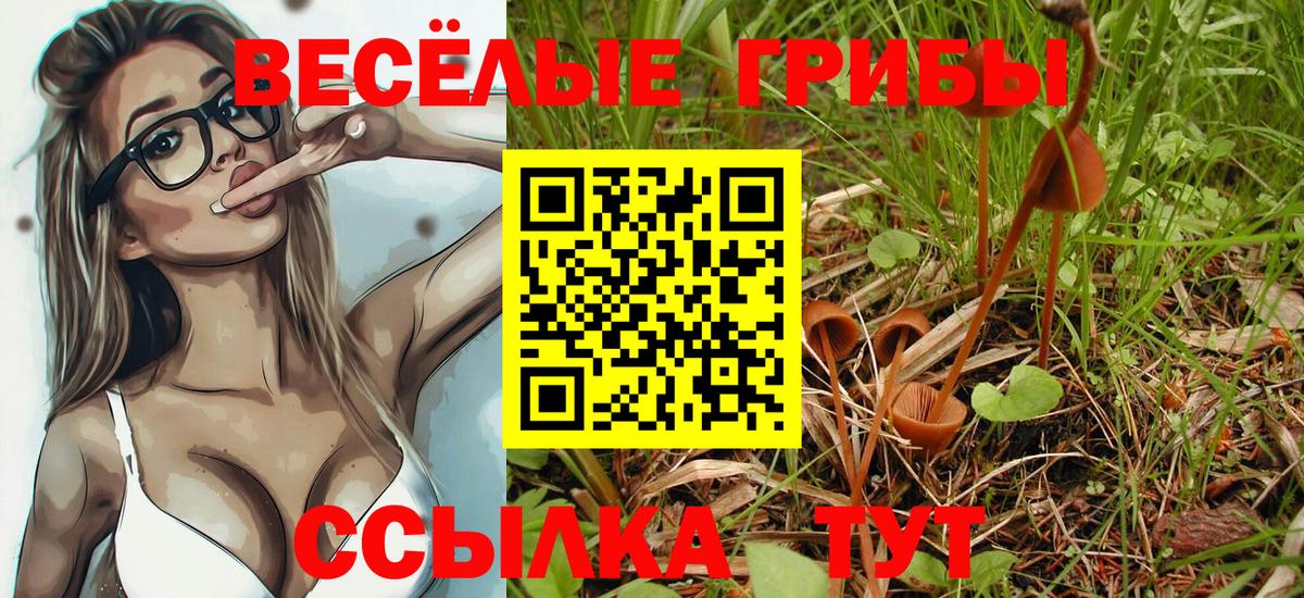 Галлюциногенные грибы Psilocybe Ликино-Дулёво